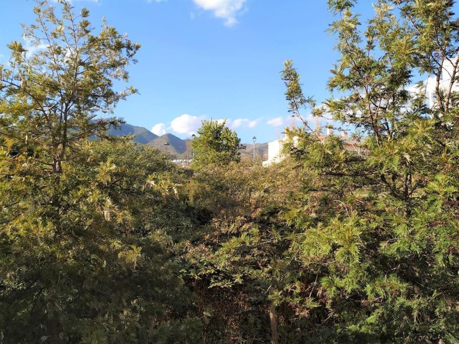 בנאלמדנה Brisa Quebrada Beach, 2 Bed, Sea Views, Pool מראה חיצוני תמונה